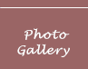 Photo Gallery