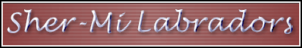 Sher-Mi Labrador Retrievers