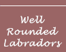 Well Rounded Labradors